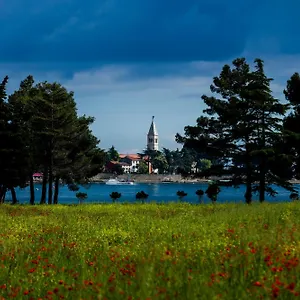 Belvedere Holidays , Novigrad Istria Kroatien