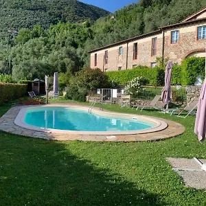 Il Grillo Sull'olivo Camaiore